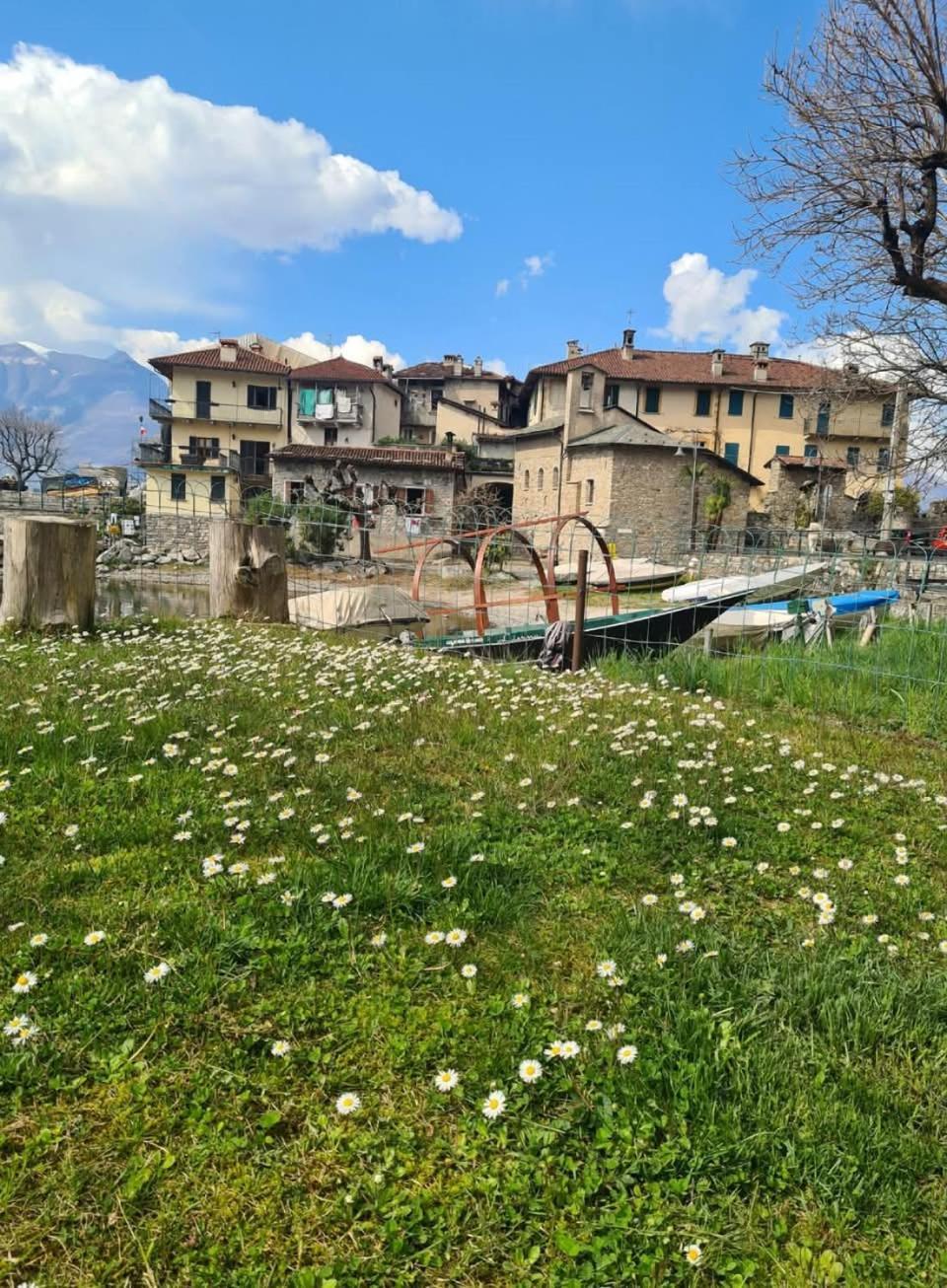 Apartment L'Ulivo Lake View In Private Street Lierna Esterno foto